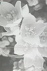 коллекция coll керамическая плитка