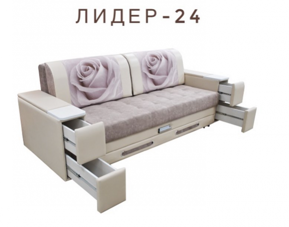 Лидер-24
